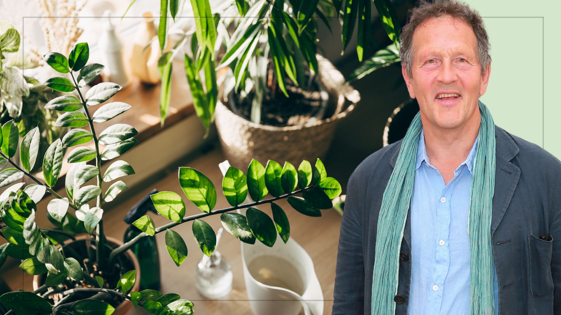 picture of various houseplants with watering can and cut out of monty don over top