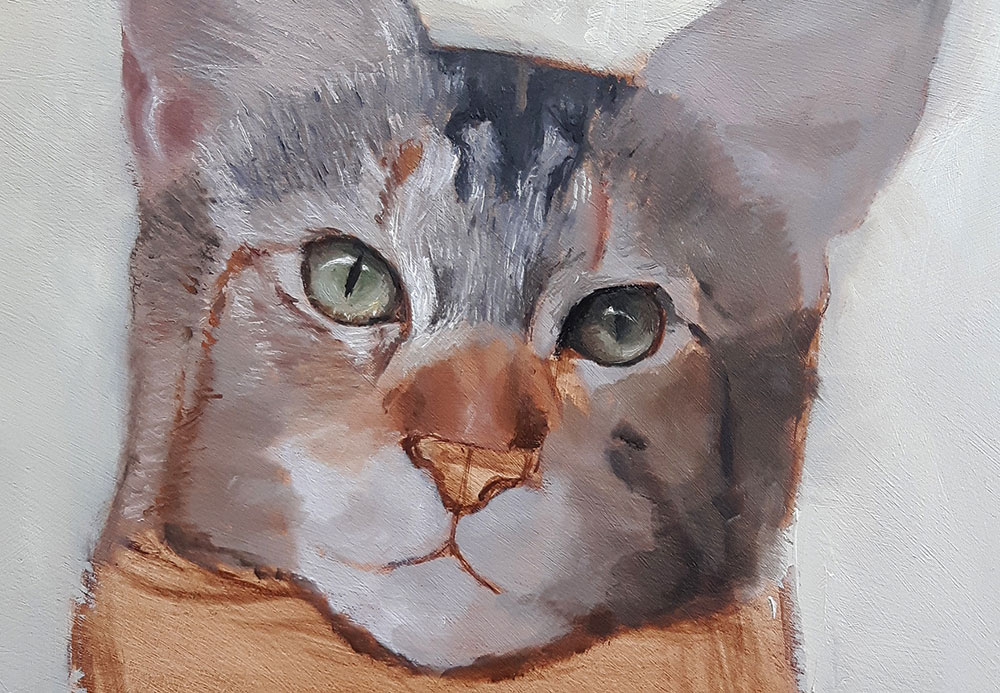 Establish shapes with a base colour then work on the details