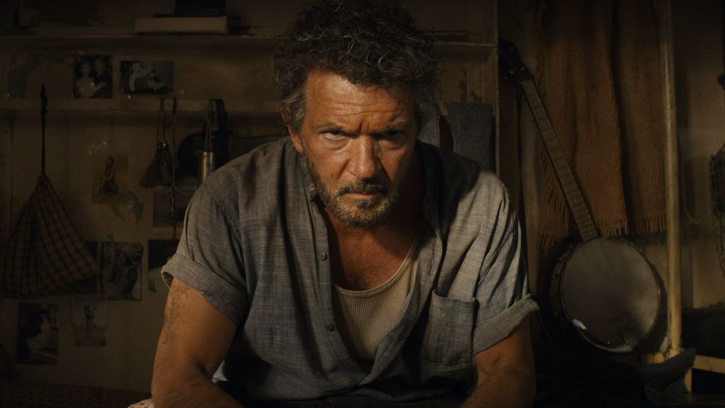 Paddington 3: An Updated Cast List For The Threequel, Including Antonio