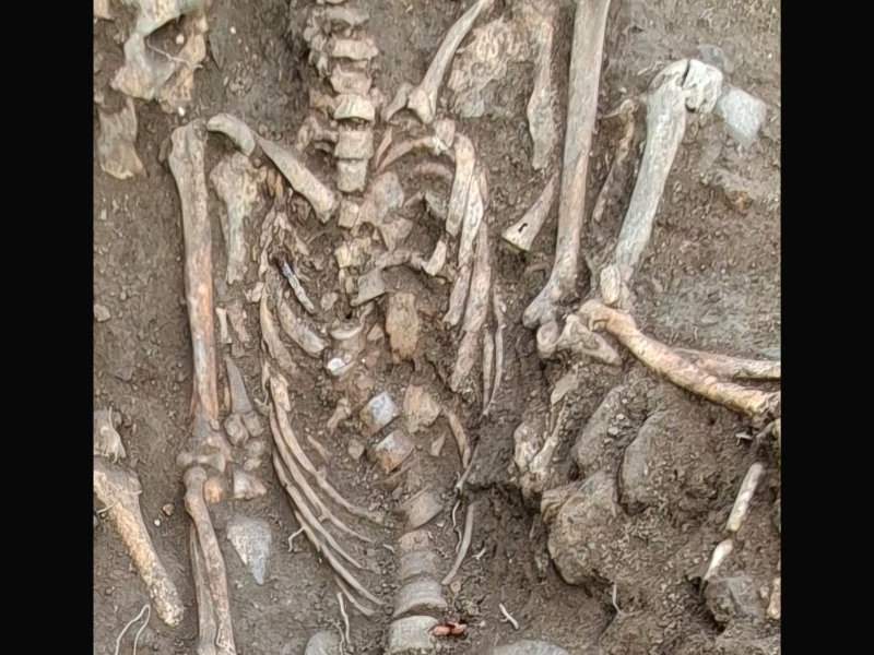 A close up of a half unearthed skeleton with a metal nail resting to the left of its ribcage
