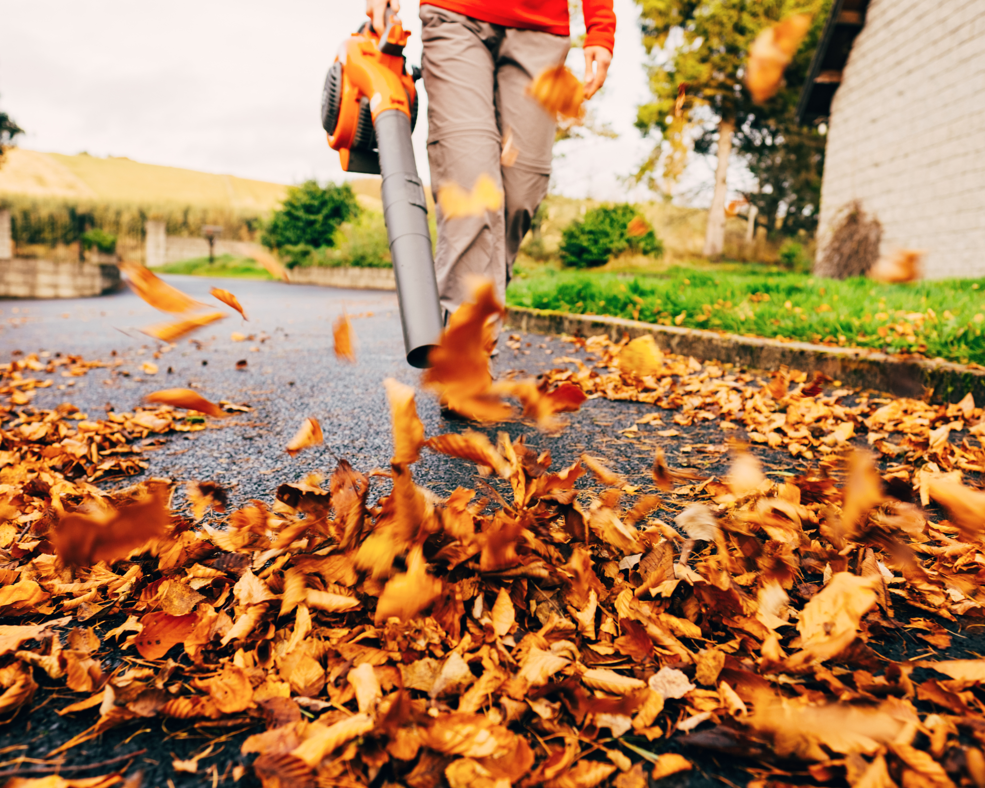 Man blowing leaves
