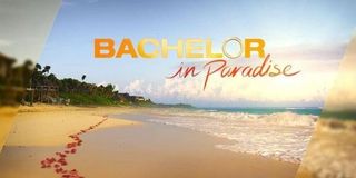 bachelor in paradise