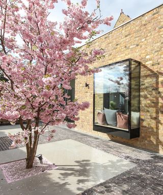 A minimalist patio with a single cherry blossom tree