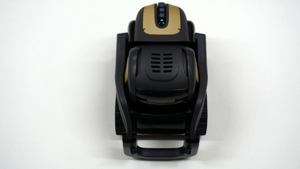 vector anki review vector anki review