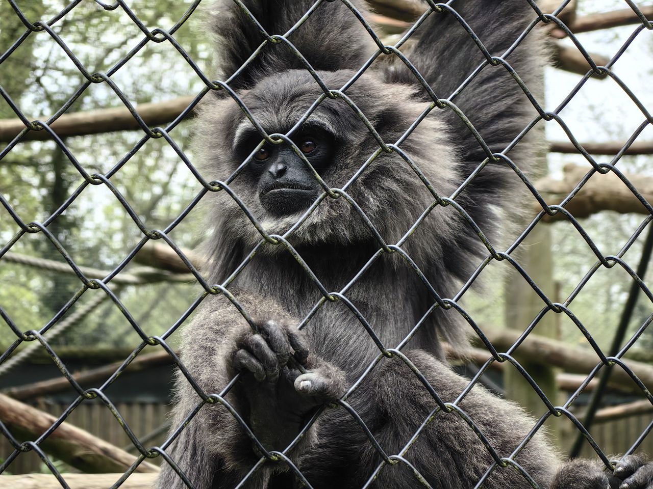 A photo taken on the Huawei P60 Pro's periscope camera