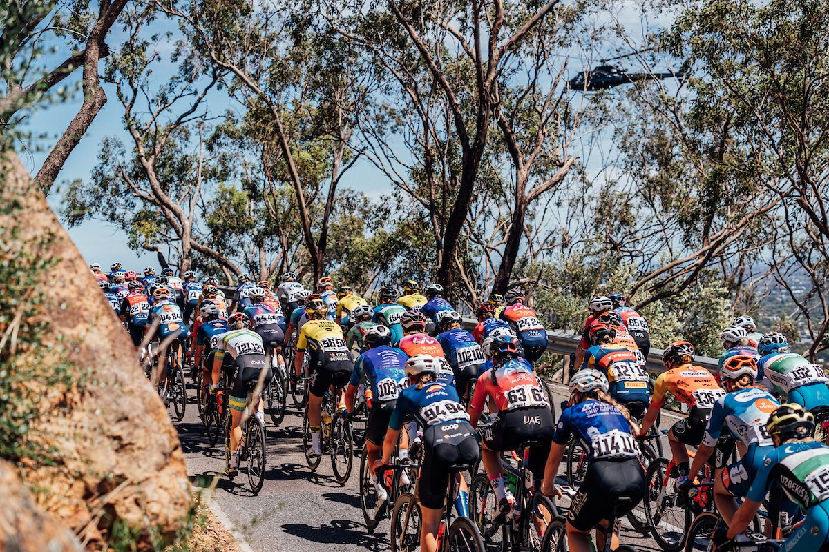 Picture by Zac Williams/SWpix.com - 14/01/2024 - Cycling - 2024 Women&#039;s Tour Down Under - Stage 3: Adelaide to Willunga Hill (93.4km) - The peloton during stage 3.