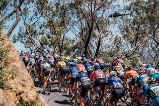 Picture by Zac Williams/SWpix.com - 14/01/2024 - Cycling - 2024 Women's Tour Down Under - Stage 3: Adelaide to Willunga Hill (93.4km) - The peloton during stage 3.