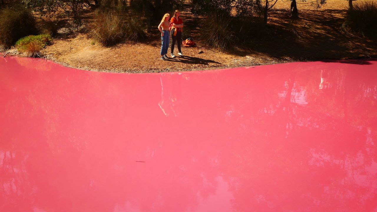 Melbourne pink lake Westgate Park