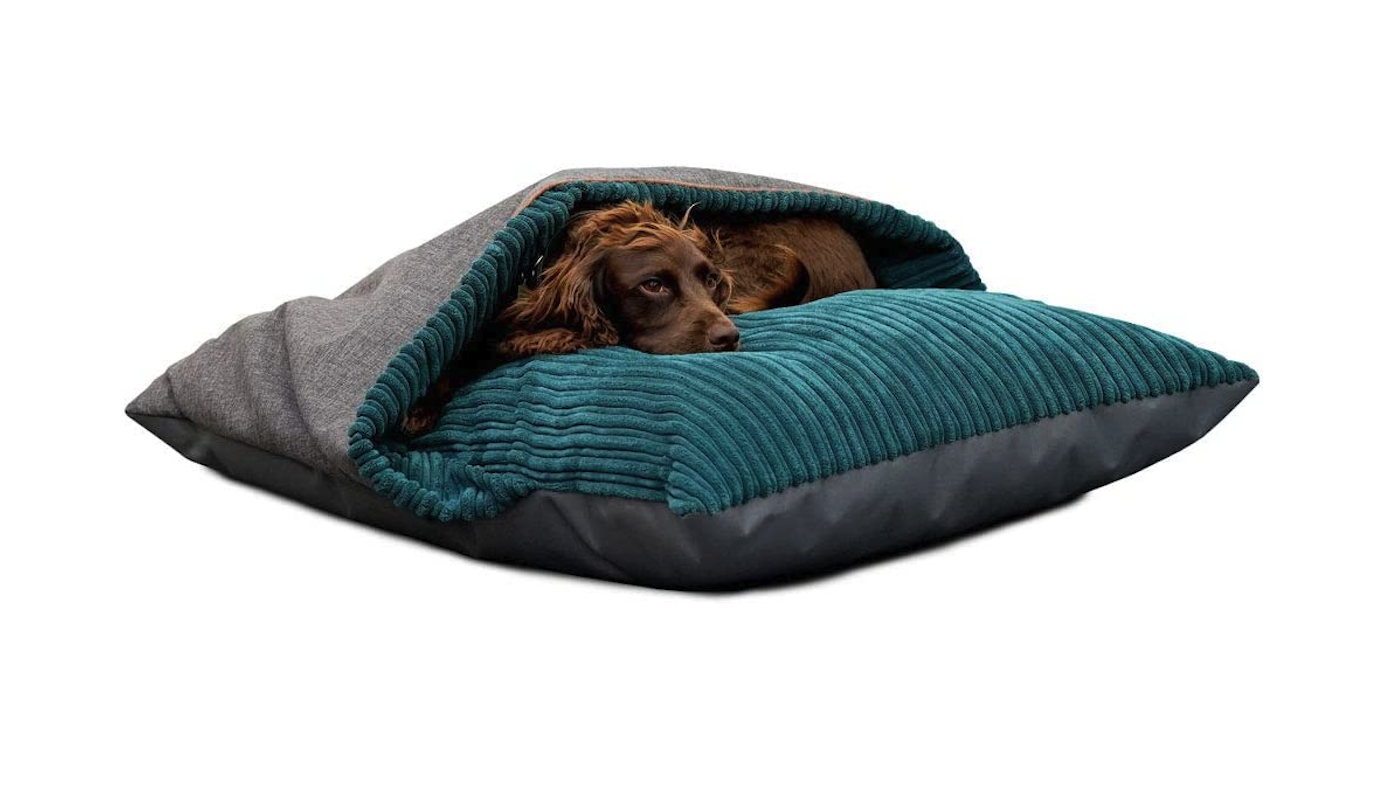 Calming dog bed with brown cocker spaniel