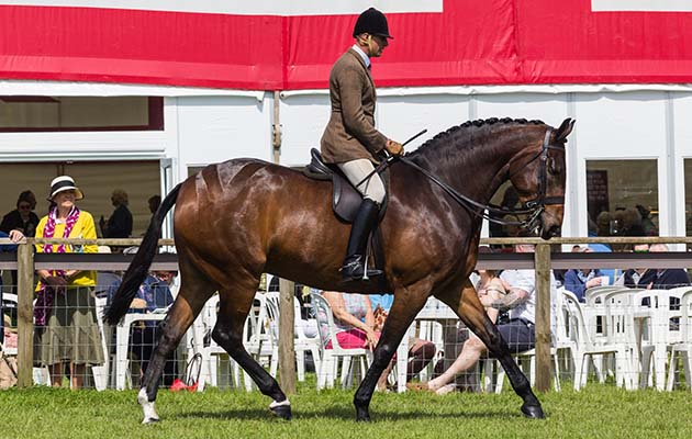 Devon County Show 2018
