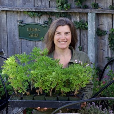 Lindsay Del Carlo, Renee's Garden