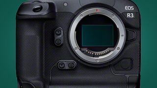 The sensor of the Canon EOS R3 mirrorless camera