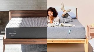 Cocoon Chill by Sealy vs Siena Mmeory Foam mattress