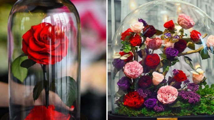 Petal, Flower, Glass, Red, Pink, Cut flowers, Floristry, Flowering plant, Bouquet, Magenta, 