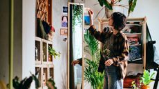 IKEA KOMPISHANG Standing Mirror in a room filled with storage and plants with a woman adding pictures into the inserts along the sides of the mirror