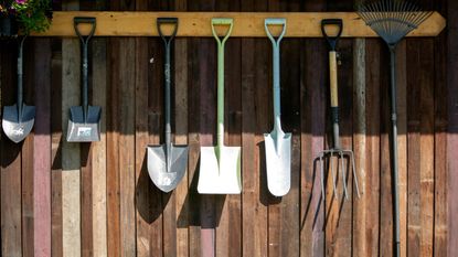 Garden tools hanging on a wooden wall 