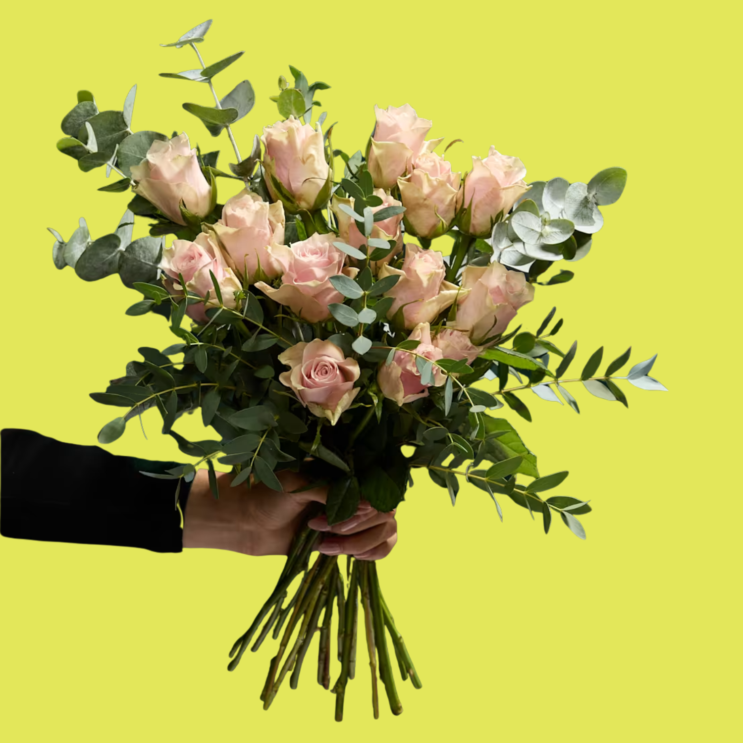 A hand holding a bouquet of blush roses and eucalyptus