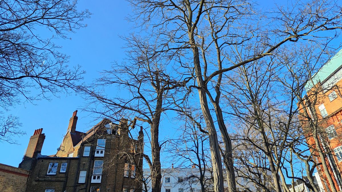 Picture of the sky taken with the Realme GT 2 Pro