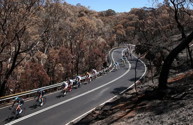The effects of the recent bush fires was hard to miss