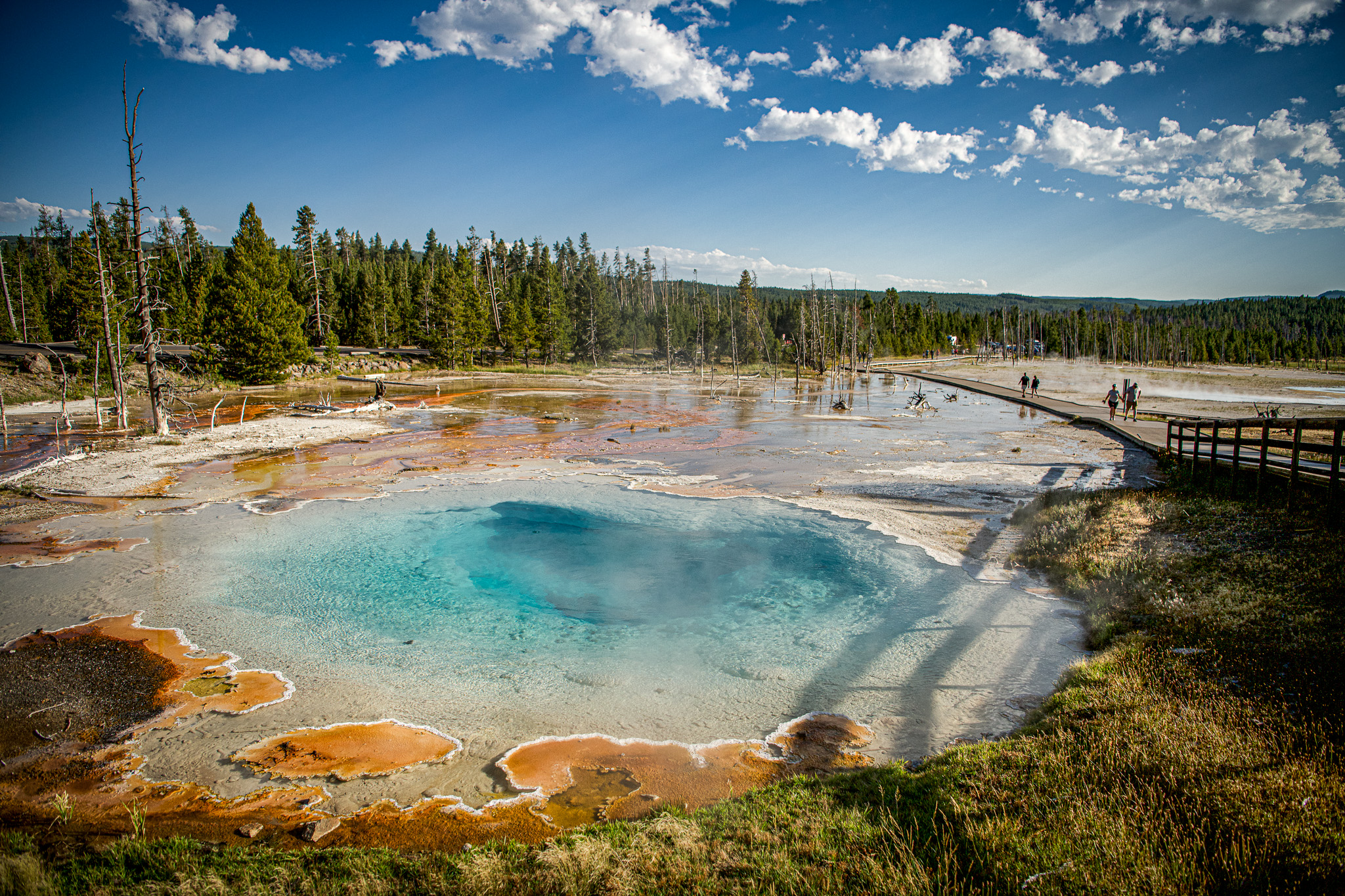 GuruShots - March 2026