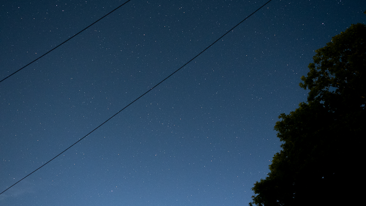 silhouette of a tree and power lines against a starry sky