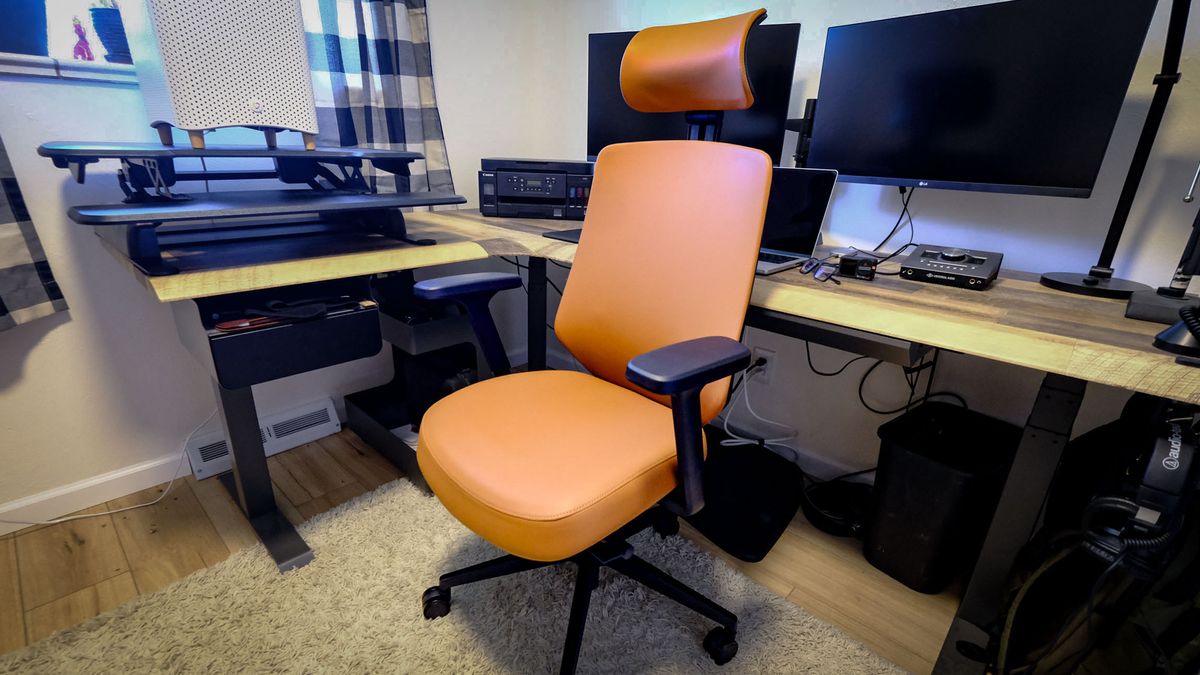 Branch Ergonomic Chair Pro review: excellent ergonomics with tons of customization