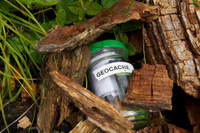 1. Geocaching