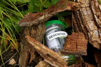 1. Geocaching