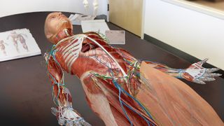 Human Anatomy Atlas 2018