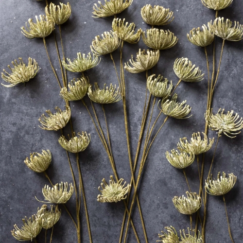 Abigail Ahern, Artificial Leucospermum, Green