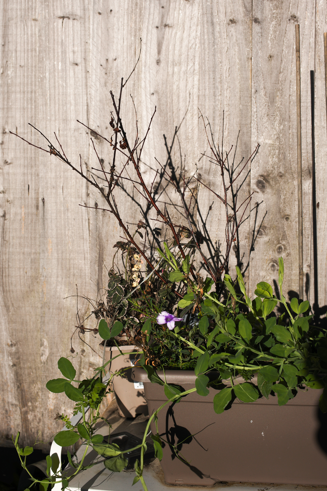 A photo taken on a Leica M EV1 rangefinder-style camera