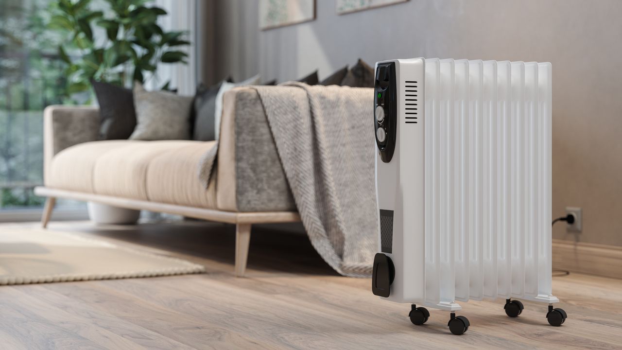 Portable electric heater in living room