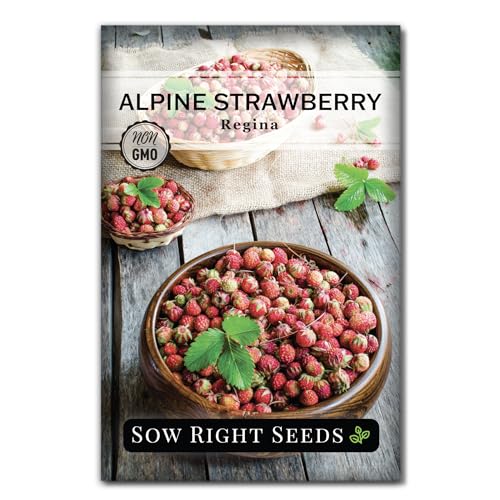Sow Right Seeds - Regina Alpine Strawberry Seeds for Planting - Non-Gmo Heirloom Packet With Instructions to Plant &amp;amp; Grow an Home Vegetable Garden - Bright Red Strawberry - Grows Early &amp;amp; Fast (1)