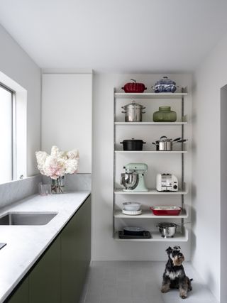 small modern kitchen with open shelving filled with appliances, a dog and olive green kitchen cabinets