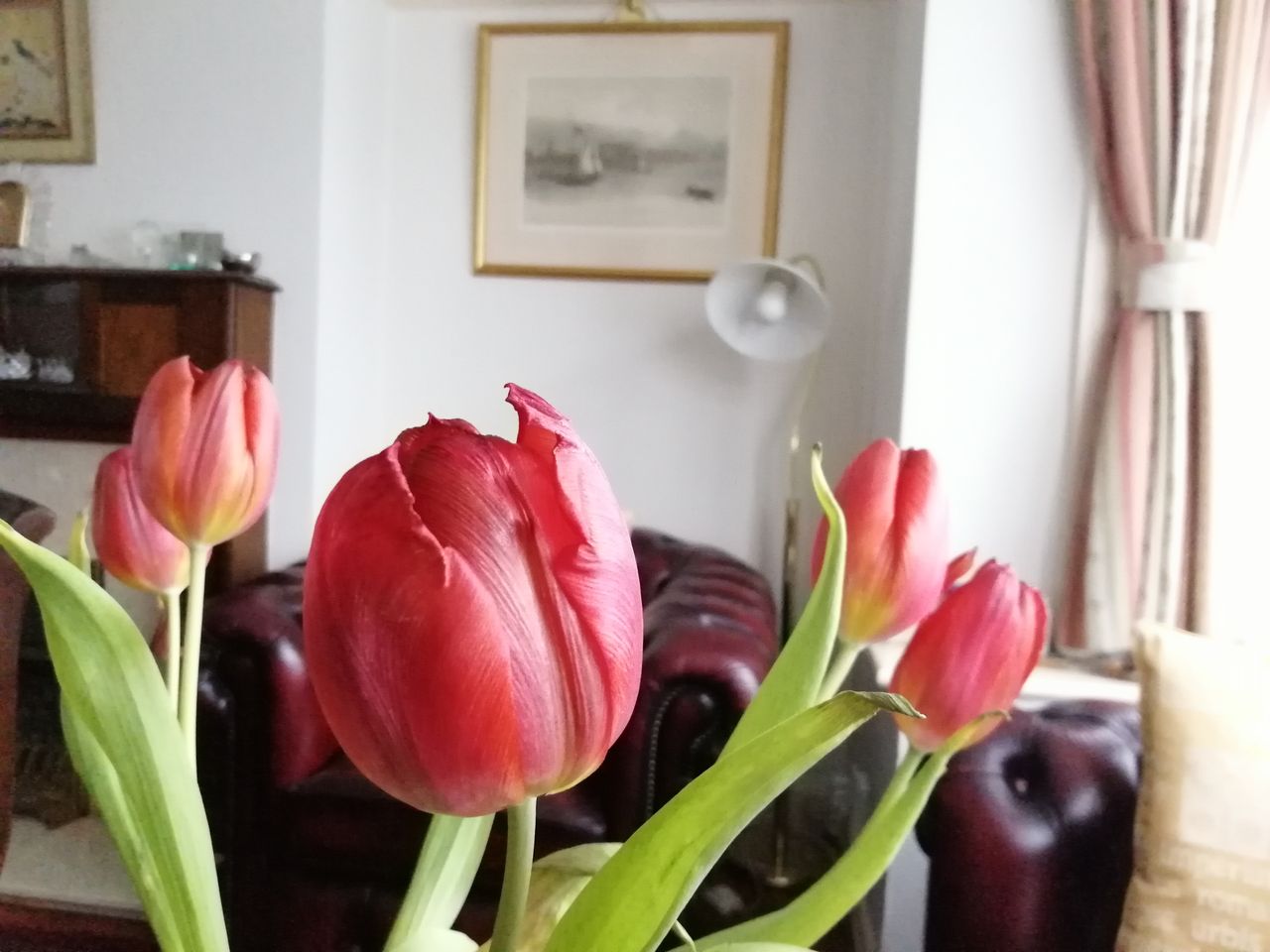 Indoors in good lighting is when the tablet is at its best