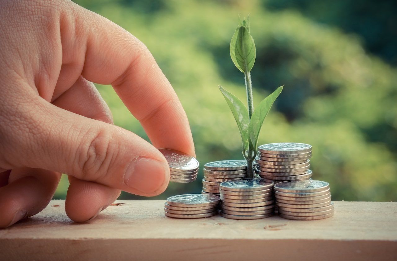 Money and plant with hand