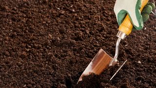Preparing soil