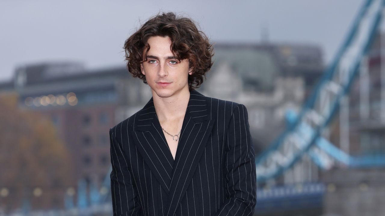 Timothée Chalamet in an Alexander McQueen striped suit for &quot;Wonka&quot; press tour