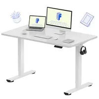 FlexiSpot EN1 One-Piece Standing Desk