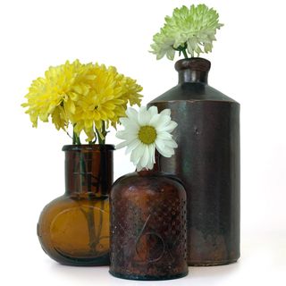 bovril glass jar with flower and white background