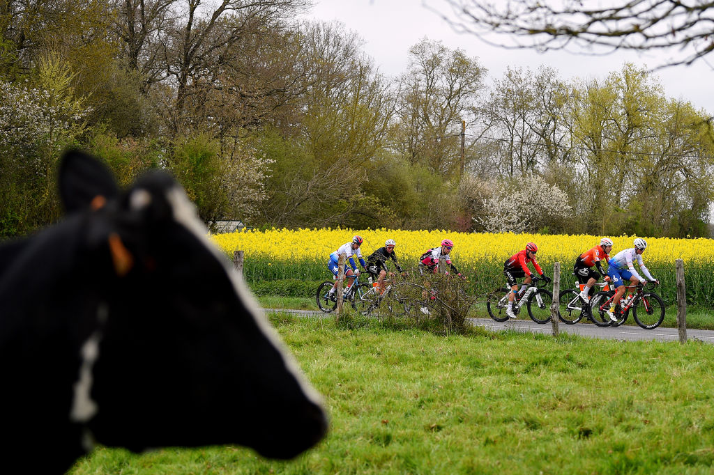 LE LUDE FRANCE APRIL 06 A general view of the peloton passing through a landscape during the 68th Circuit Cycliste Sarthe Pays de la Loire 2022 Stage 2 a 1747km stage from Le Lude to Le Lude CircuitSarthe on April 06 2022 in Le Lude France Photo by Dario BelingheriGetty Images