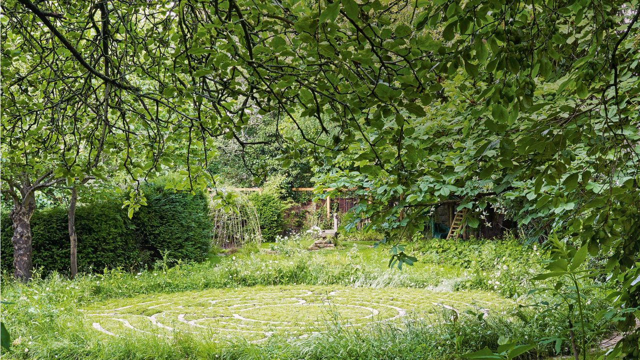 Green garden with various green flowers