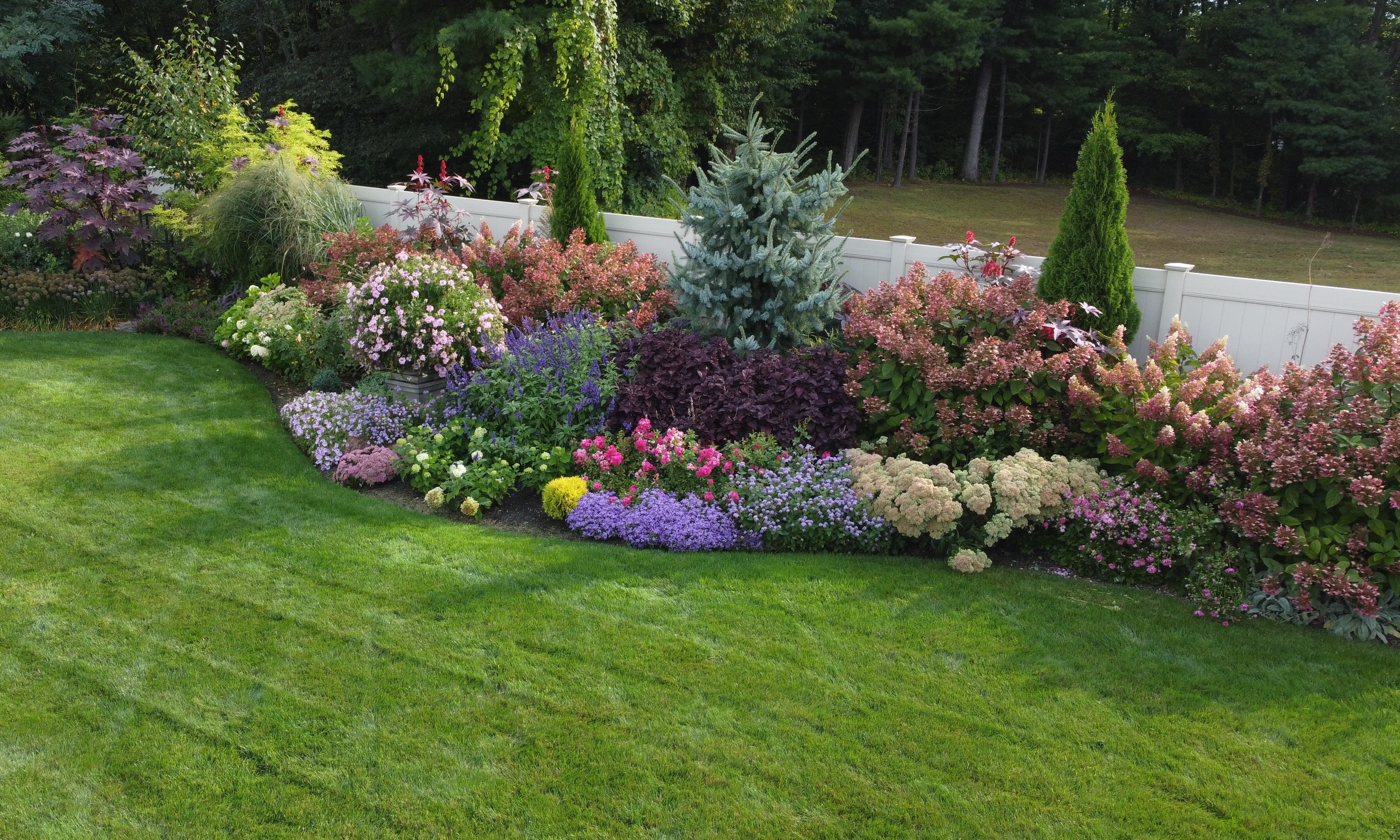 Grow For Me Gardening border aerial view