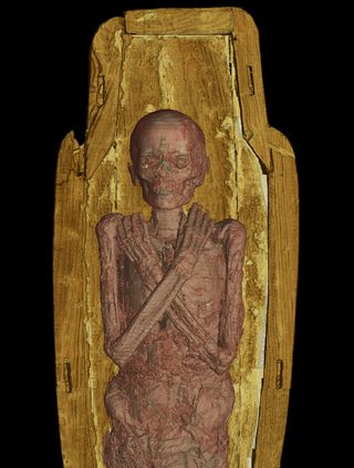 mummies exhibit