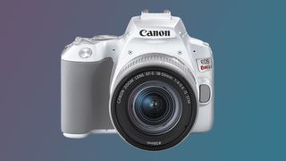 Canon EOS Rebel SL3 against a teal and purple background
