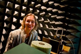 This is E. Semouchkina's photo, where she is testing a microwave dielectric cloak in an anechoic chamber.