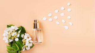 Perfume bottle with flowers on peach background