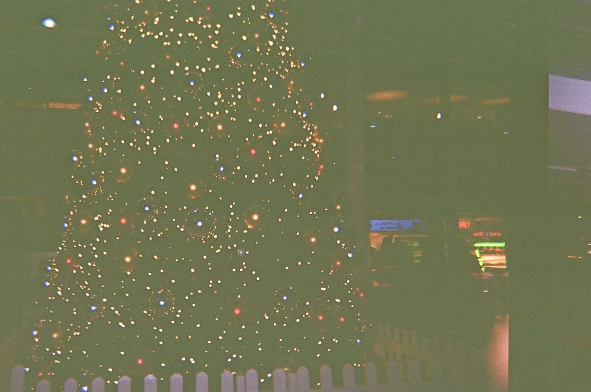A photo of a Christmas tree taken on a Novocolor Swiss+Go 35mm film camera