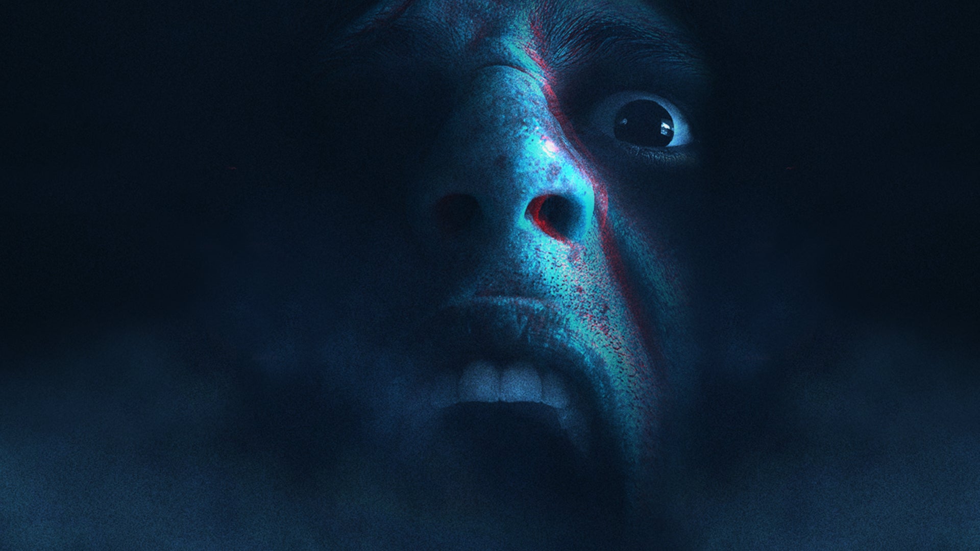 Don&#039;t Scream
