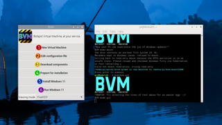 Botspot BVM Win 11